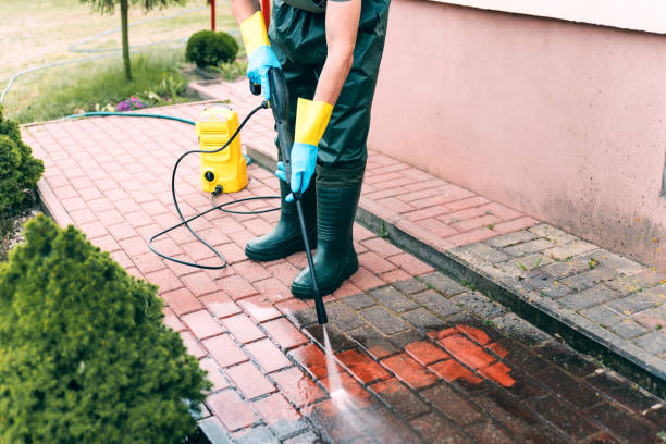 Animal Enclosure Cleaning in Fair Oaks, VA